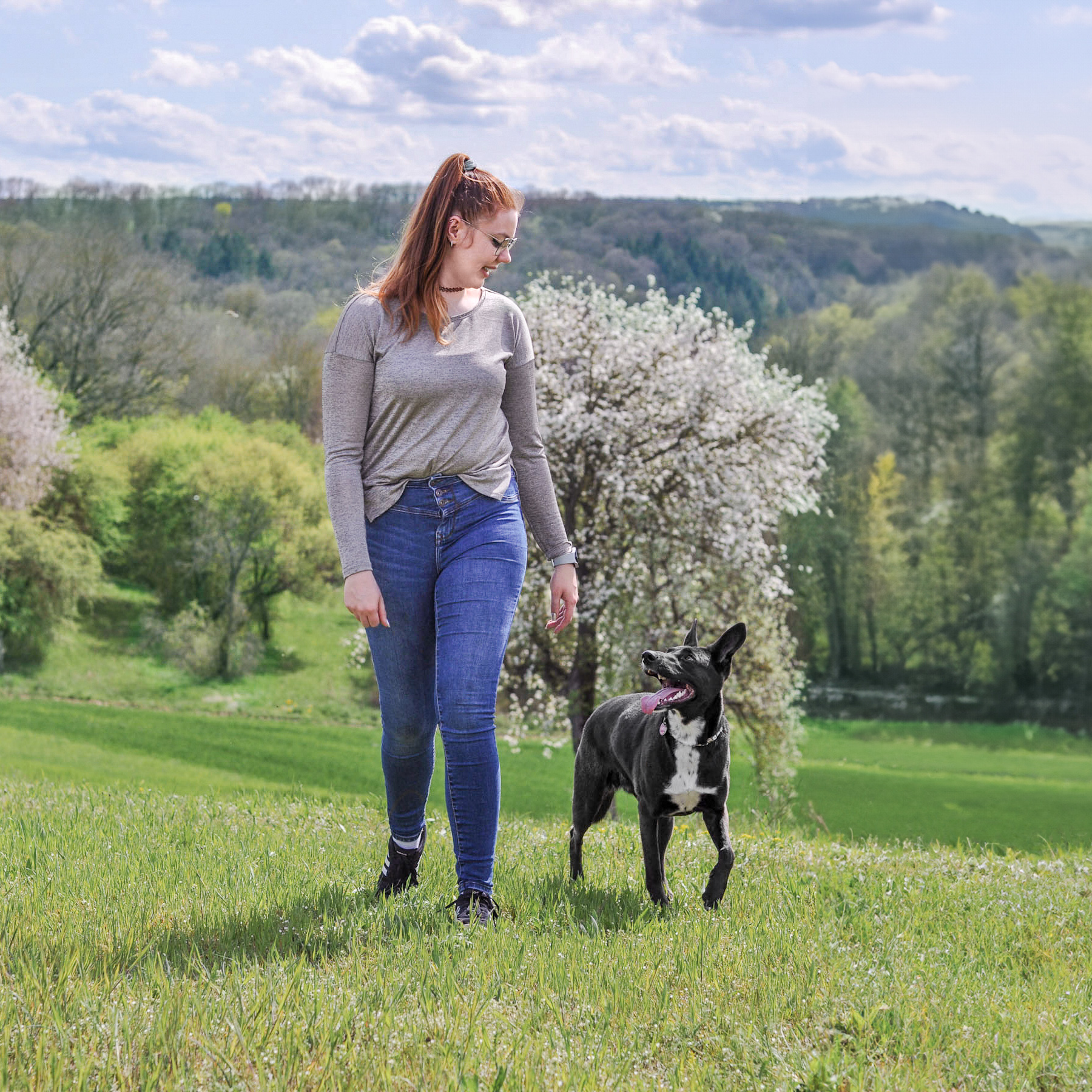 Bei Fuß, Freifolge, Hundeschule, Hundetraining, unterwegs, Gehorsam, Bindung, Kommunikation